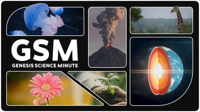 Genesis Science Minute show art